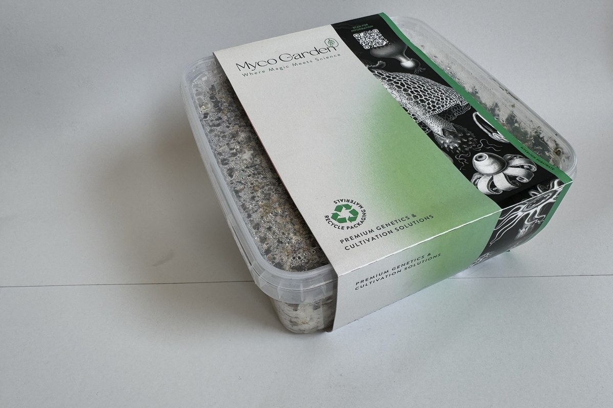 100% Mycelium Growkits