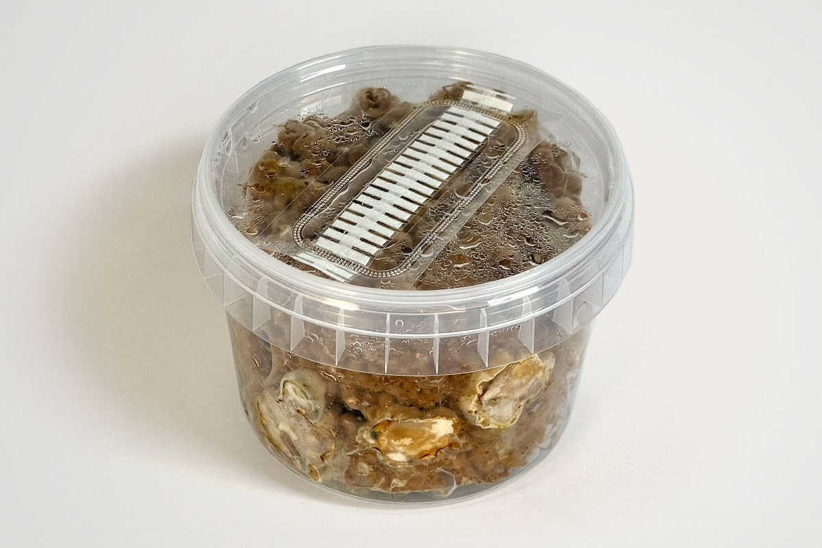 Classic Growkits