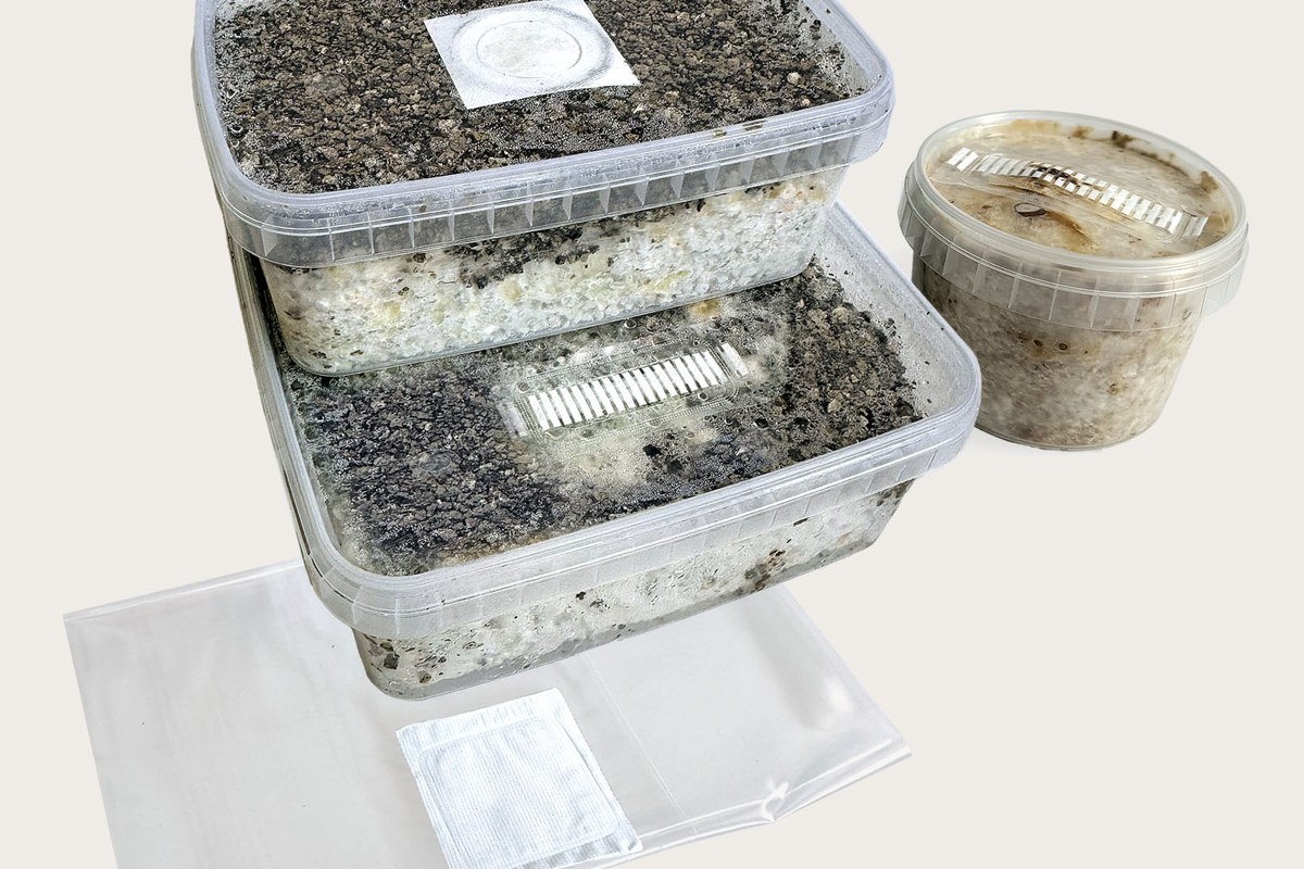 Growkits